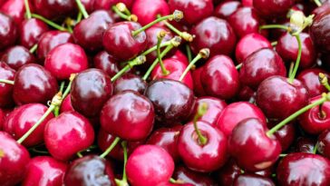 10 Proven Health Benefits Of Cherries That You Need To Know About F