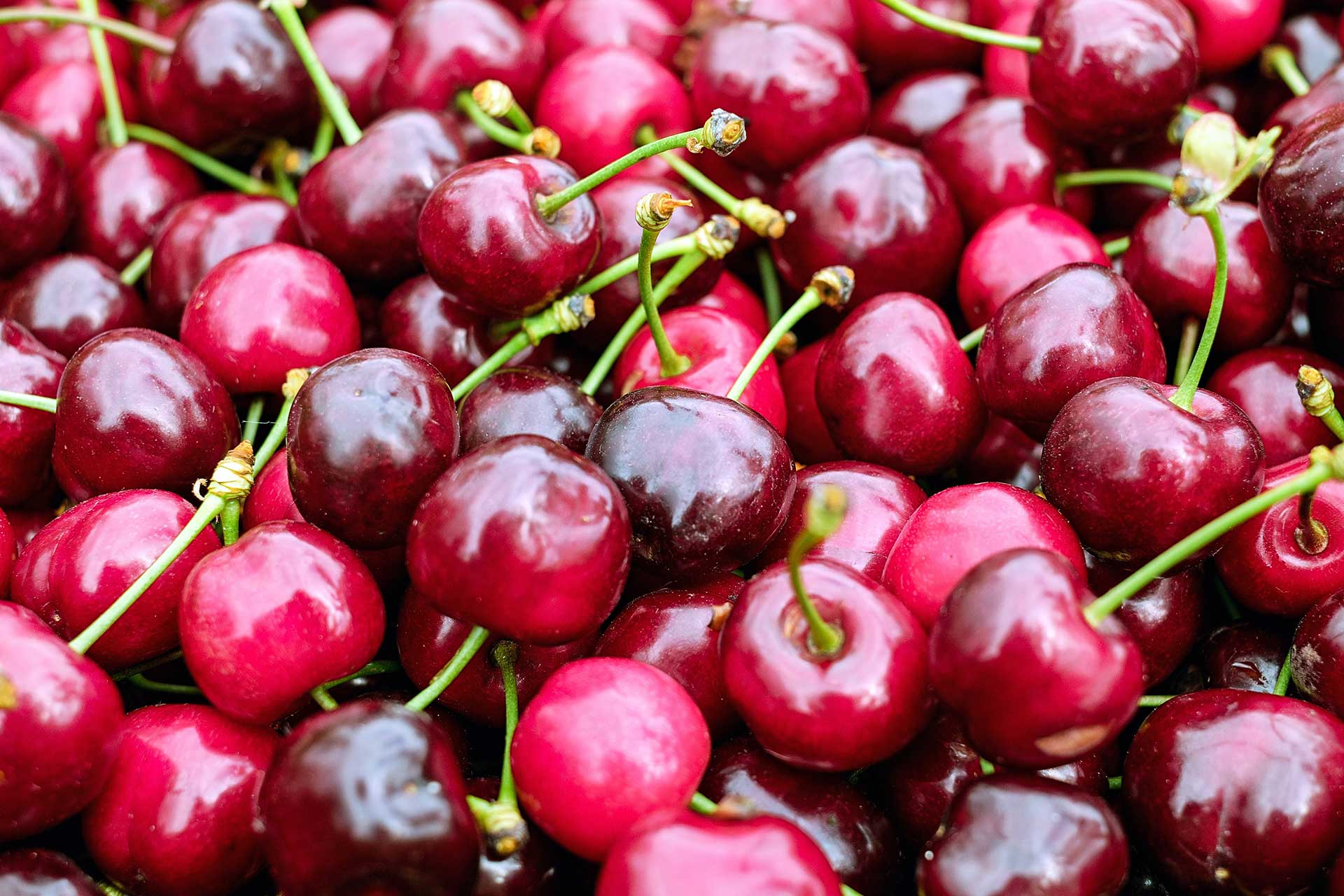 10 Proven Health Benefits Of Cherries That You Need To Know About F