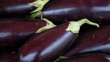 10 Proven Health Benefits Of Eggplant That You Need To Know About F