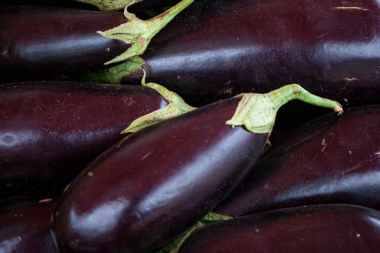 10 Proven Health Benefits Of Eggplant That You Need To Know About F