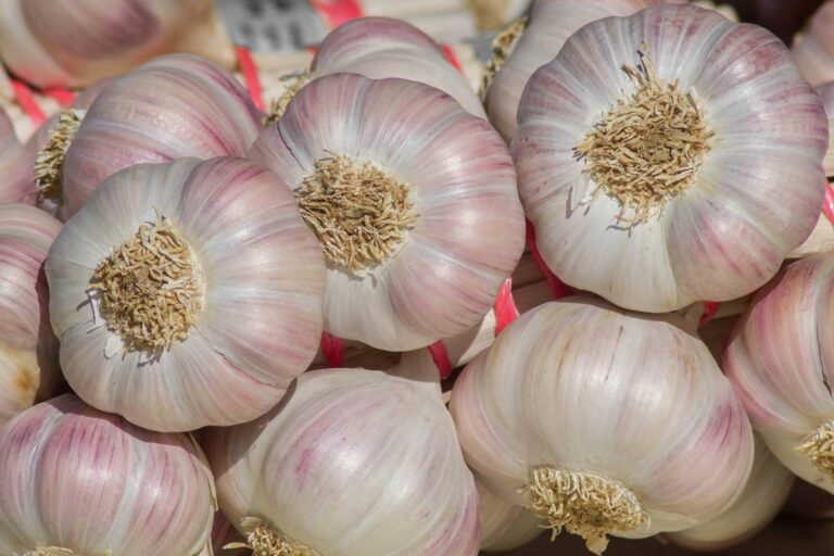 10 Proven Health Benefits Of Garlic That You Need To Know About F