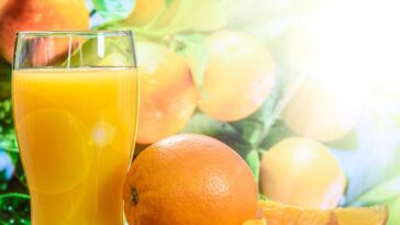 10 Proven Health Benefits Of Oranges That You Need To Know About F