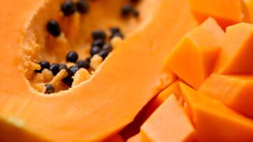 10 Proven Health Benefits Of Papaya That You Need To Know About F