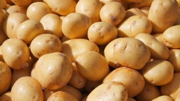 10 Proven Health Benefits Of Potatoes That You Need To Know About F