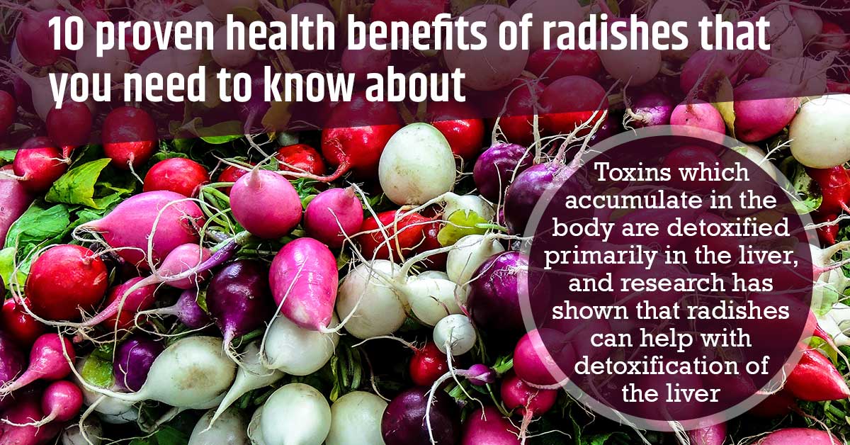 10 Proven Health Benefits of Radishes