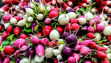 10 Proven Health Benefits Of Radishes That You Need To Know About F