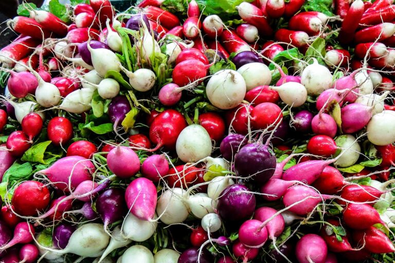 10 Proven Health Benefits Of Radishes That You Need To Know About F