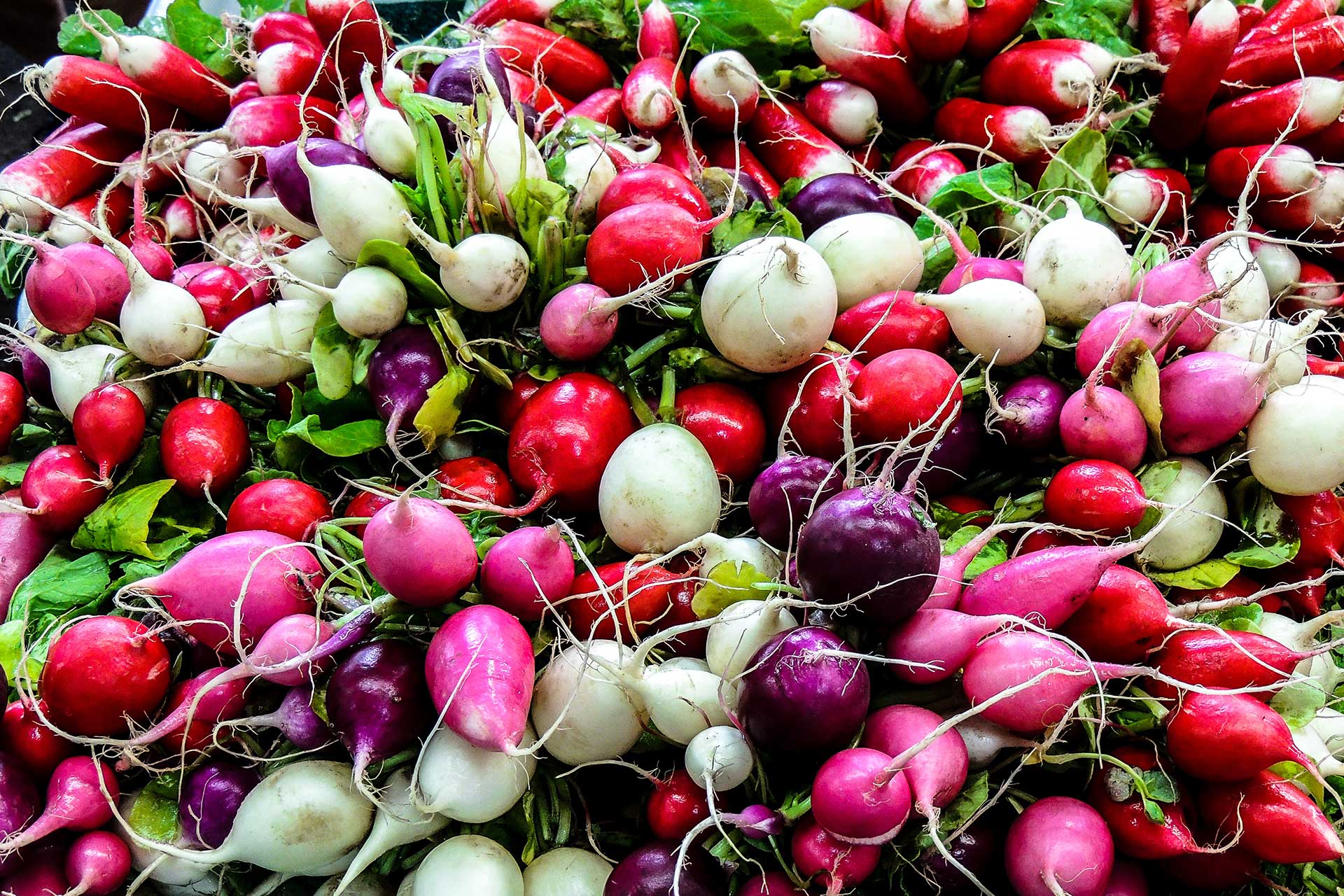 10 Radish Health Benefits You Need to Know