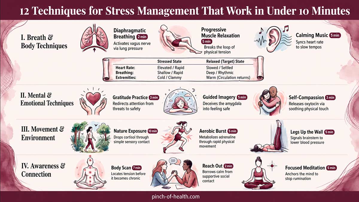 Techniques for Stress Management That Work in Under Minutes Techniques for Stress Management That Work in Under Minutes