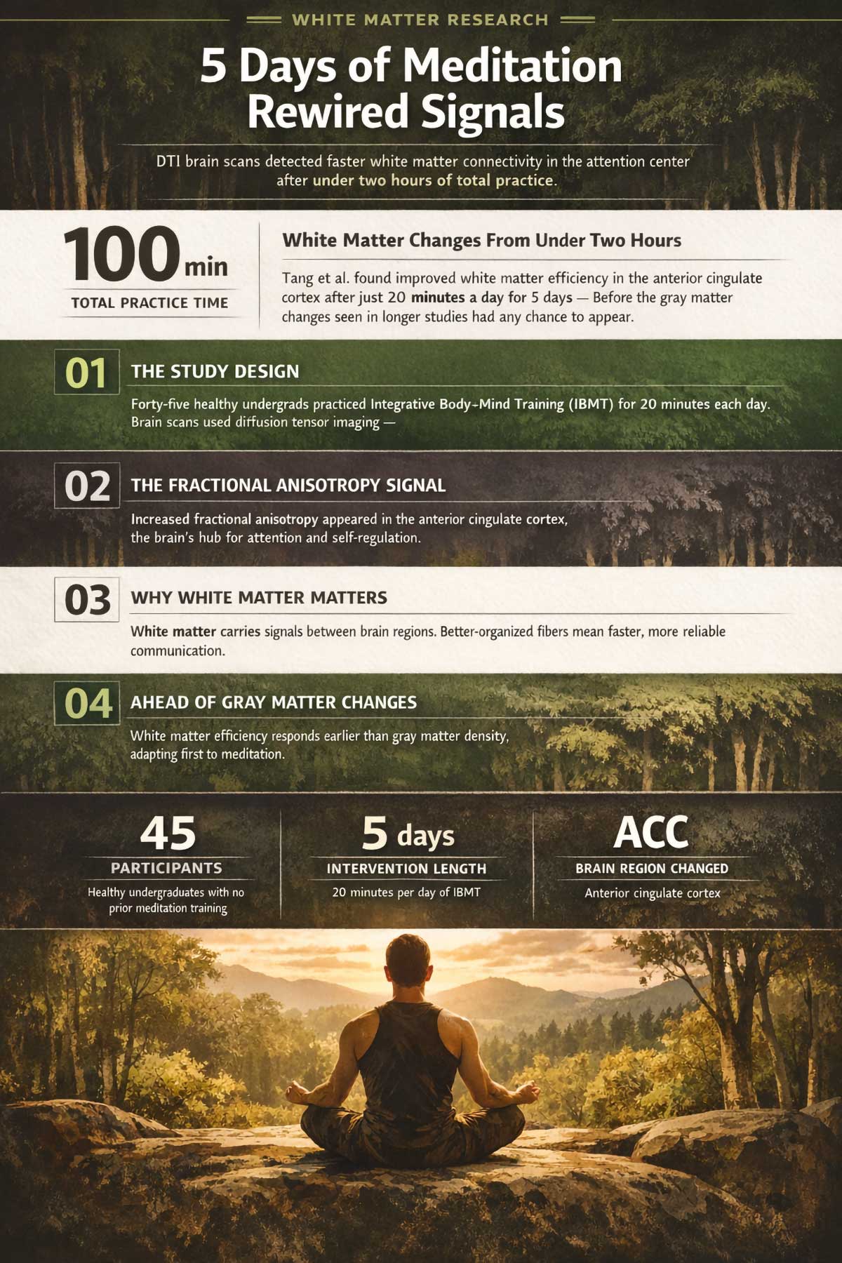 Days of Meditation Improved Brain White Matter Efficiency