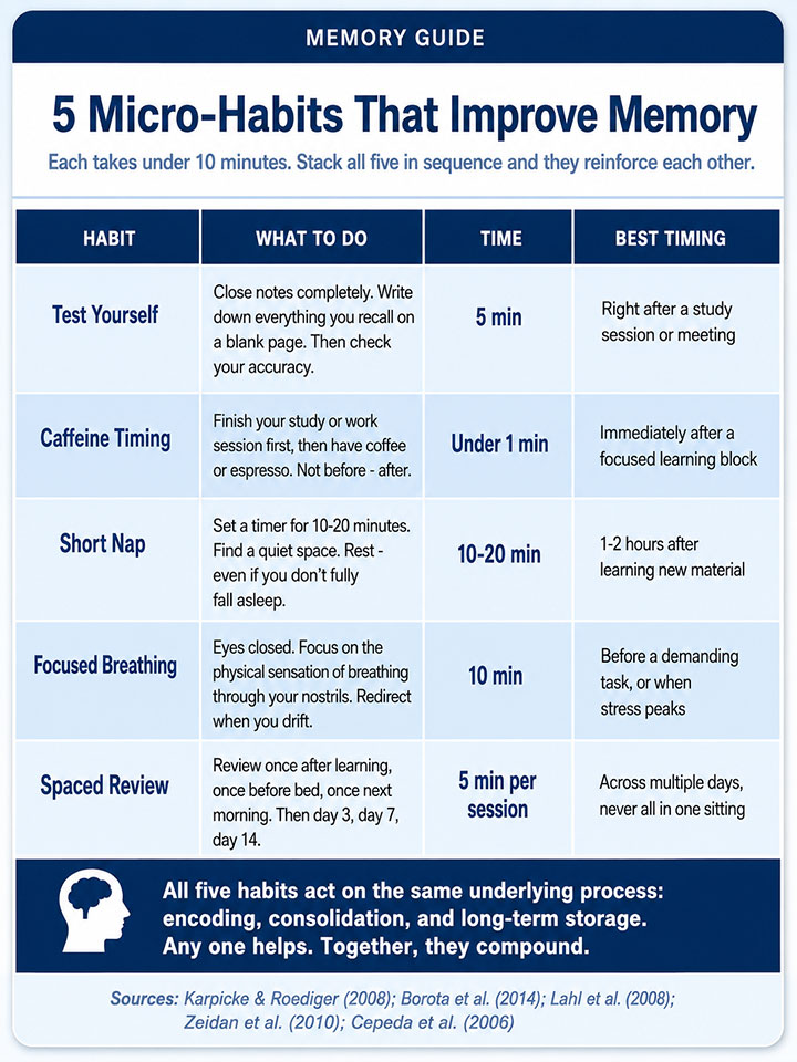 Micro Habits That Improve Memory Micro Habits That Improve Memory