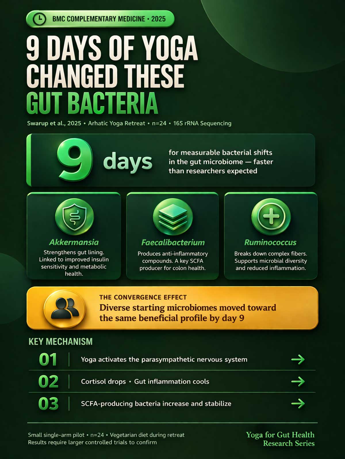 Days of Yoga Changed These Gut Bacteria Days of Yoga Changed These Gut Bacteria