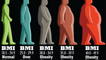 Bmi Infographic