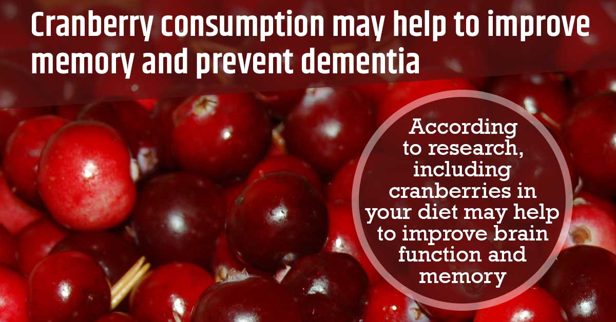 Cranberry Consumption Can Help to Improve Memory and Prevent Dementia