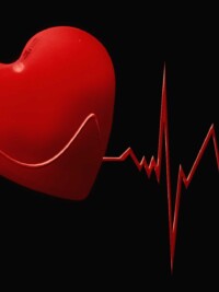 The Gut Bacteria Angle on Blood Pressure Most Diets Ignore