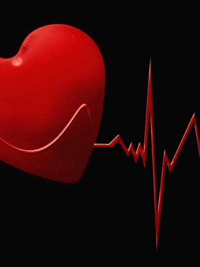 The Gut Bacteria Angle on Blood Pressure Most Diets Ignore