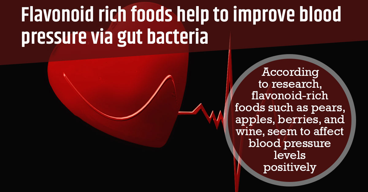 Flavonoid Rich Foods Help to Improve Blood Pressure via Gut Bacteria