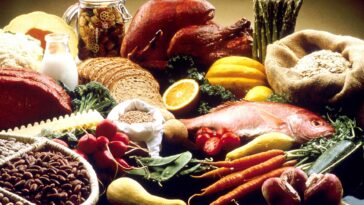 How Much Do Healthier Diets Help In Reducing The Risk Of Death F