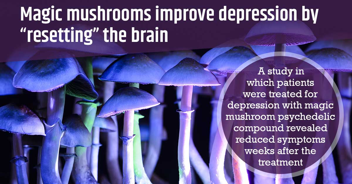 Magic Mushrooms Improve Depression by “Resetting” the Brain
