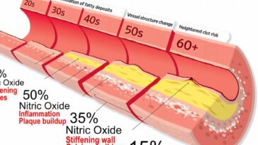 Nitric Oxide Infographic F