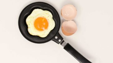 One Egg Every Day Has Been Proven To Not Impact Heart Disease Risk F