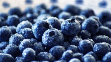 Research Has Found That Blueberry Consumption Can Help Improve Memory F