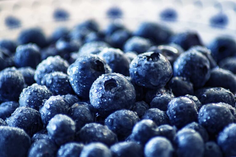 Research Has Found That Blueberry Consumption Can Help Improve Memory F
