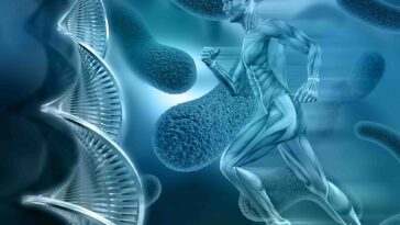 Research Has Found That Exercise Changes Dna Instantly F