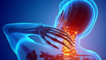 Why Is Neck Pain More Prevalent In Women Than In Men F