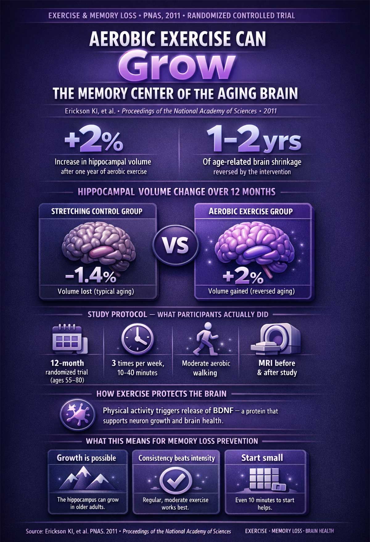 Aerobic Exercise Can Grow the Memory Center of the Aging Brain Aerobic Exercise Can Grow the Memory Center of the Aging Brain