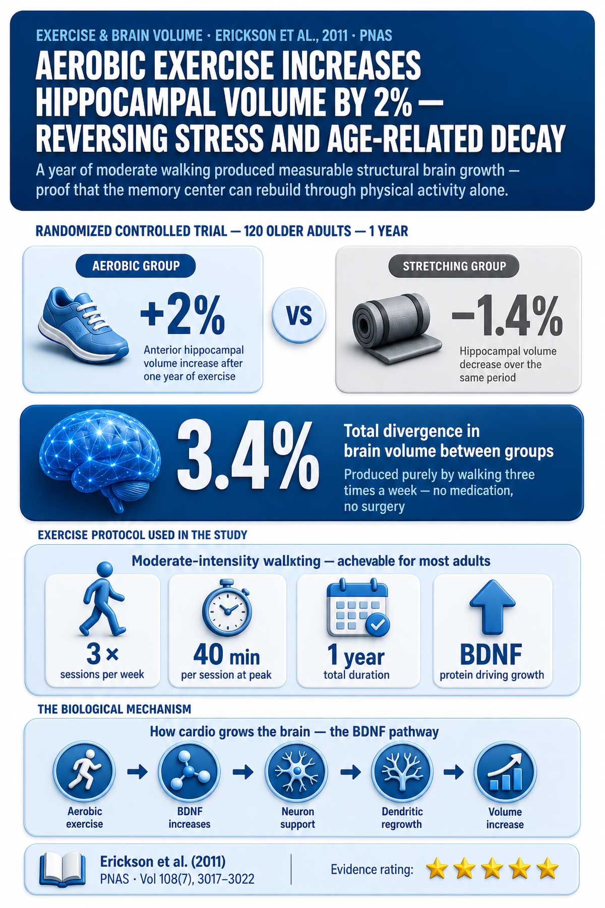 Aerobic Exercise Increases Hippocampal Volume by % Aerobic Exercise Increases Hippocampal Volume by %