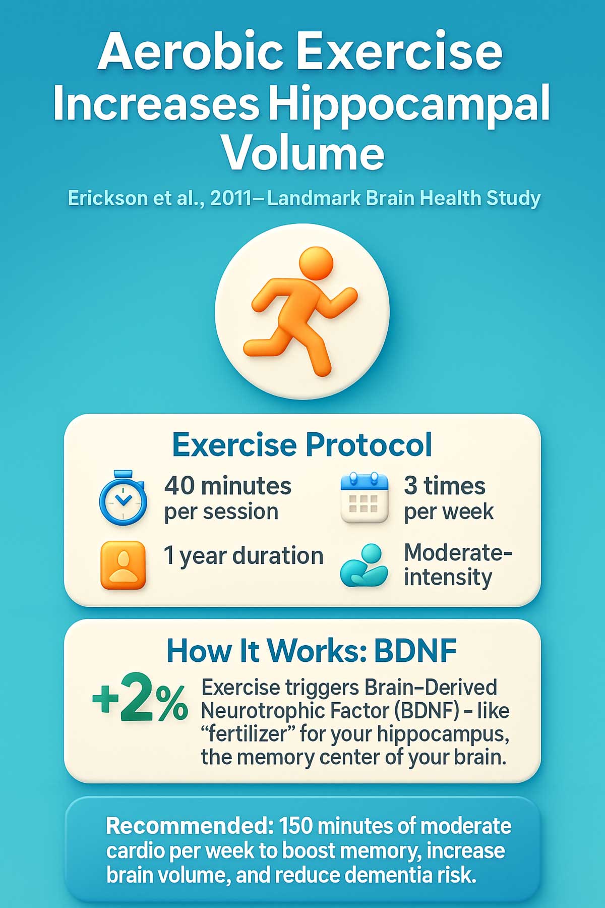 Aerobic Exercise Increases Hippocampal Volume