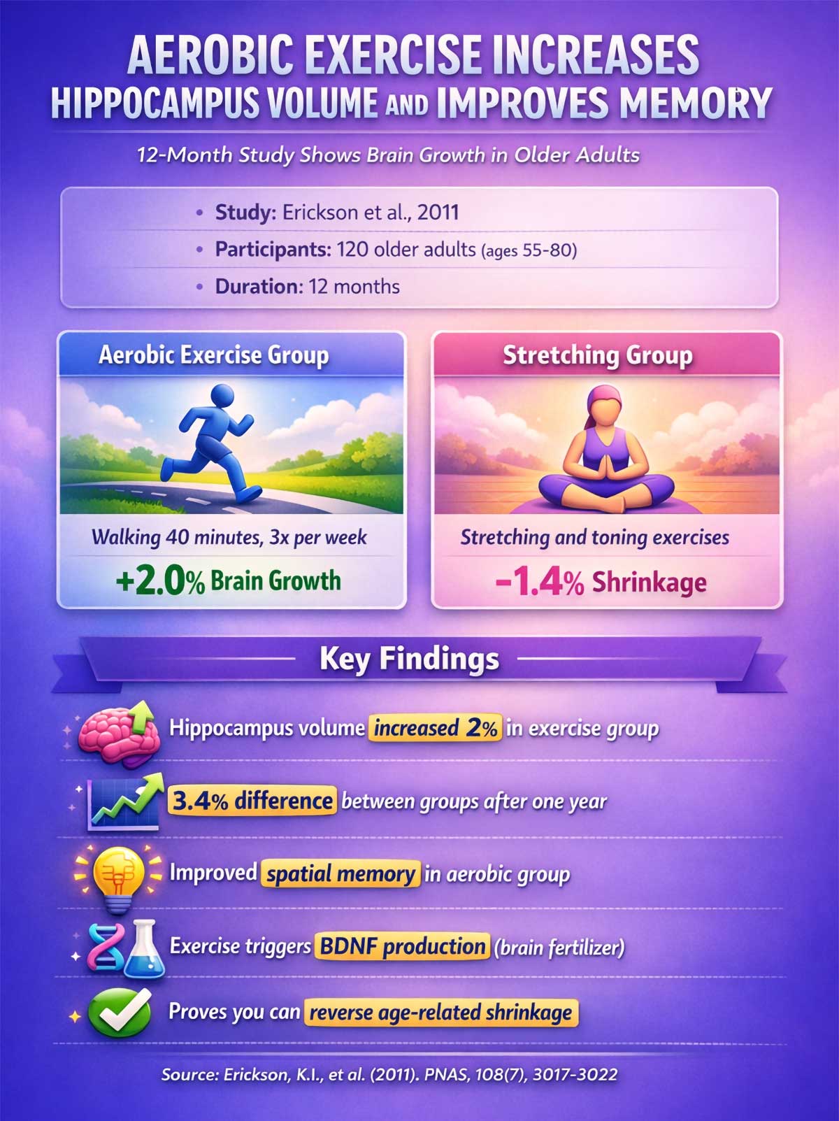 Aerobic Exercise Increases Hippocampus Volume and Improves Memory Aerobic Exercise Increases Hippocampus Volume and Improves Memory