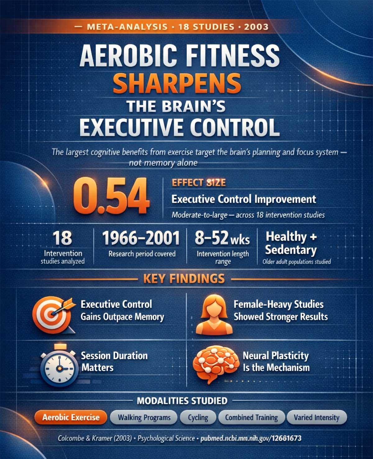 Aerobic Fitness & Brain Performance
