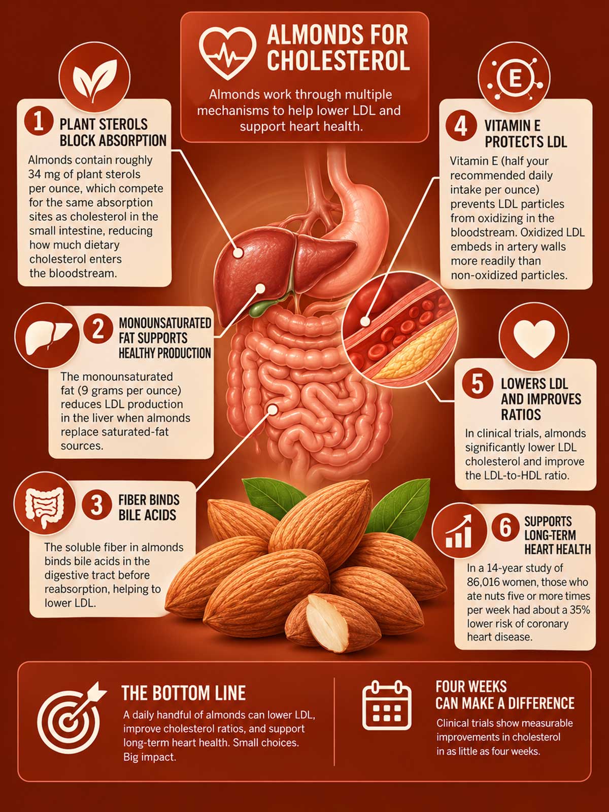 almonds for cholesterol almonds for cholesterol