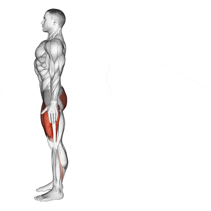 Alternating Reverse Lunges