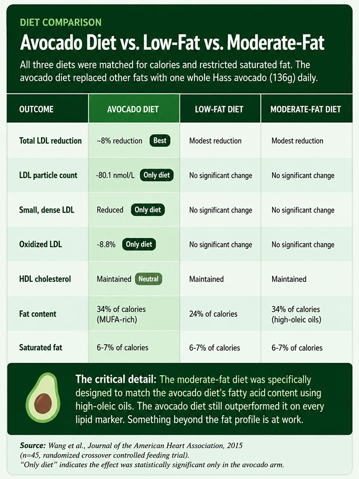 Avocado Diet vs. Low Fat vs. Moderate Fat Avocado Diet vs. Low Fat vs. Moderate Fat