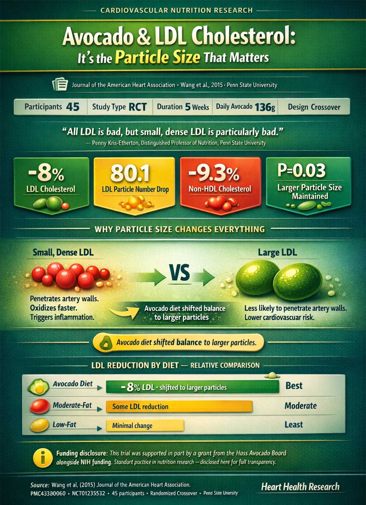 Avocado & LDL Cholesterol It's the Particle SizeThat Matters