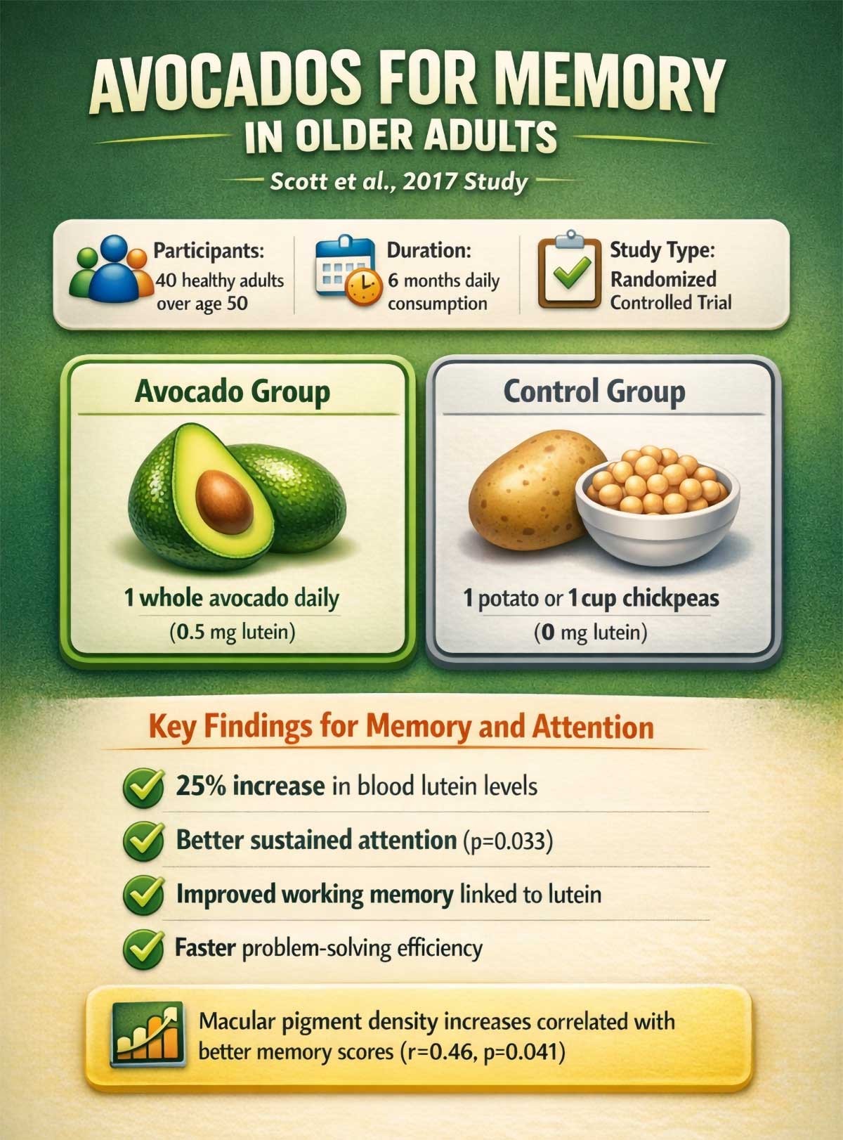 Avocados for Memory in Older Adults