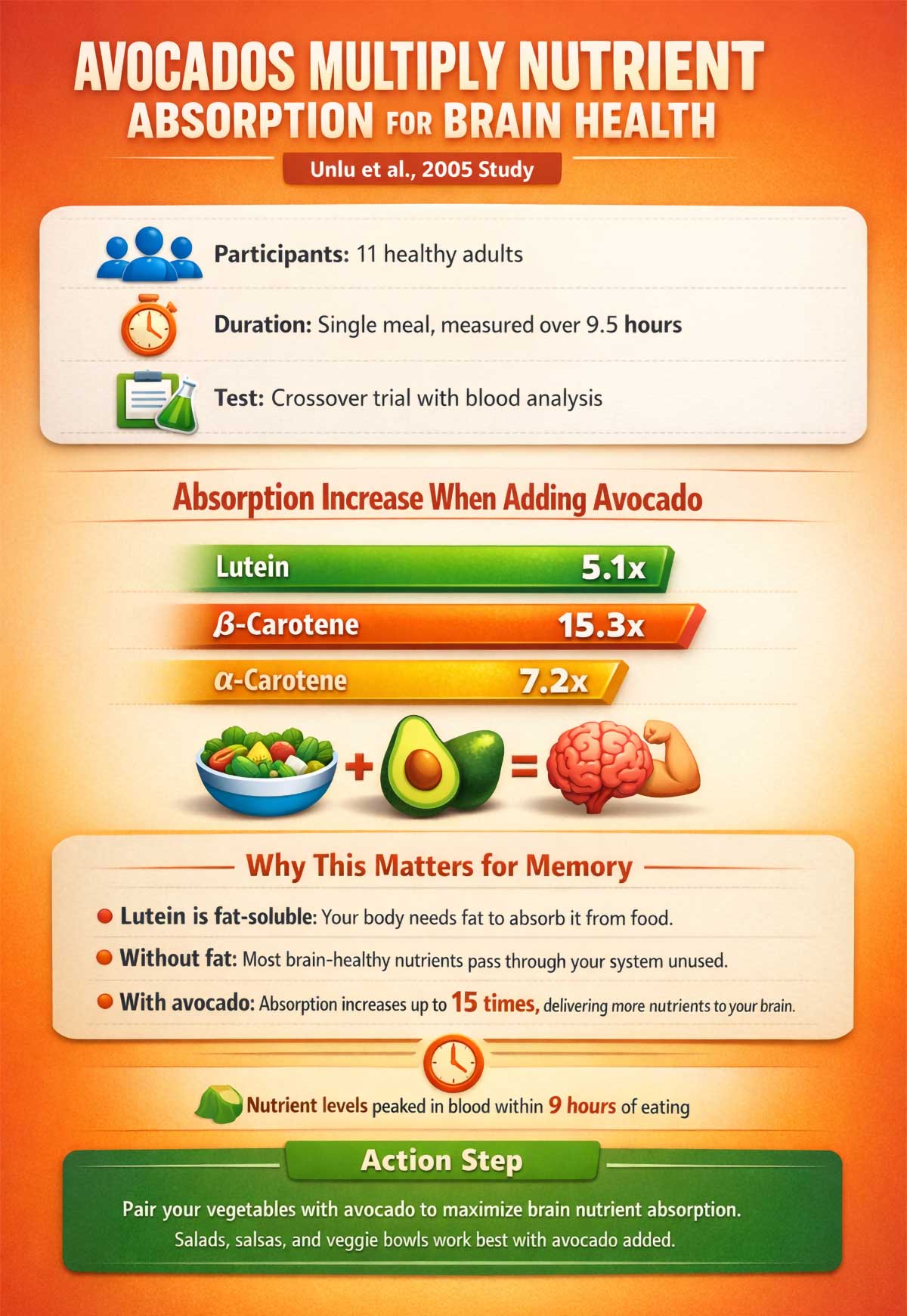 Avocados Multiply Nutrient Absorption for Brain Health