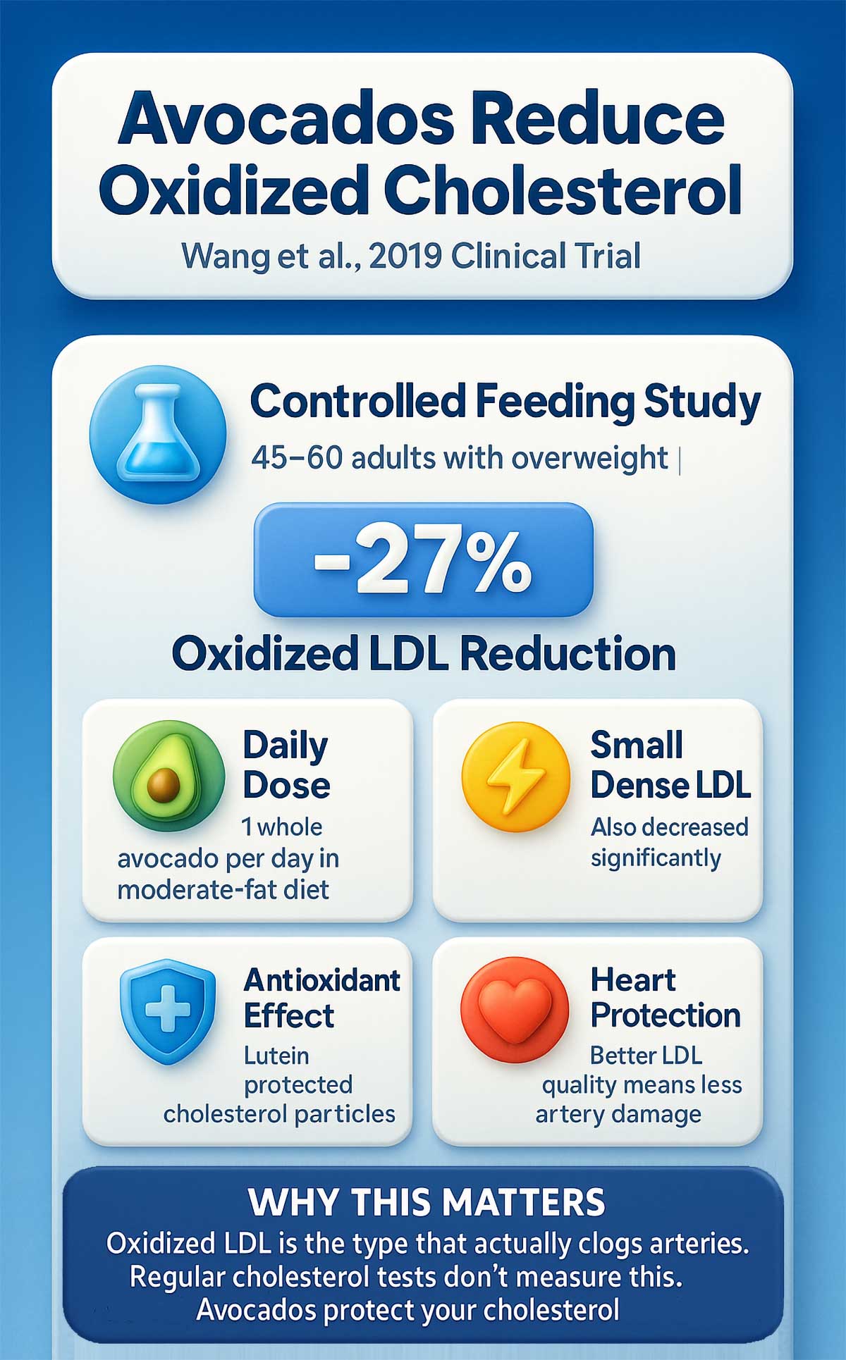 Avocados Reduce Oxidized Cholesterol Avocados Reduce Oxidized Cholesterol