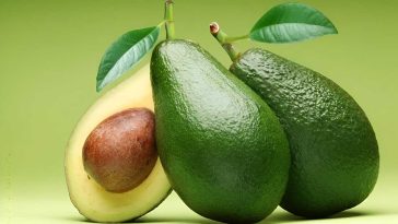 Avoocados for Cholesterol