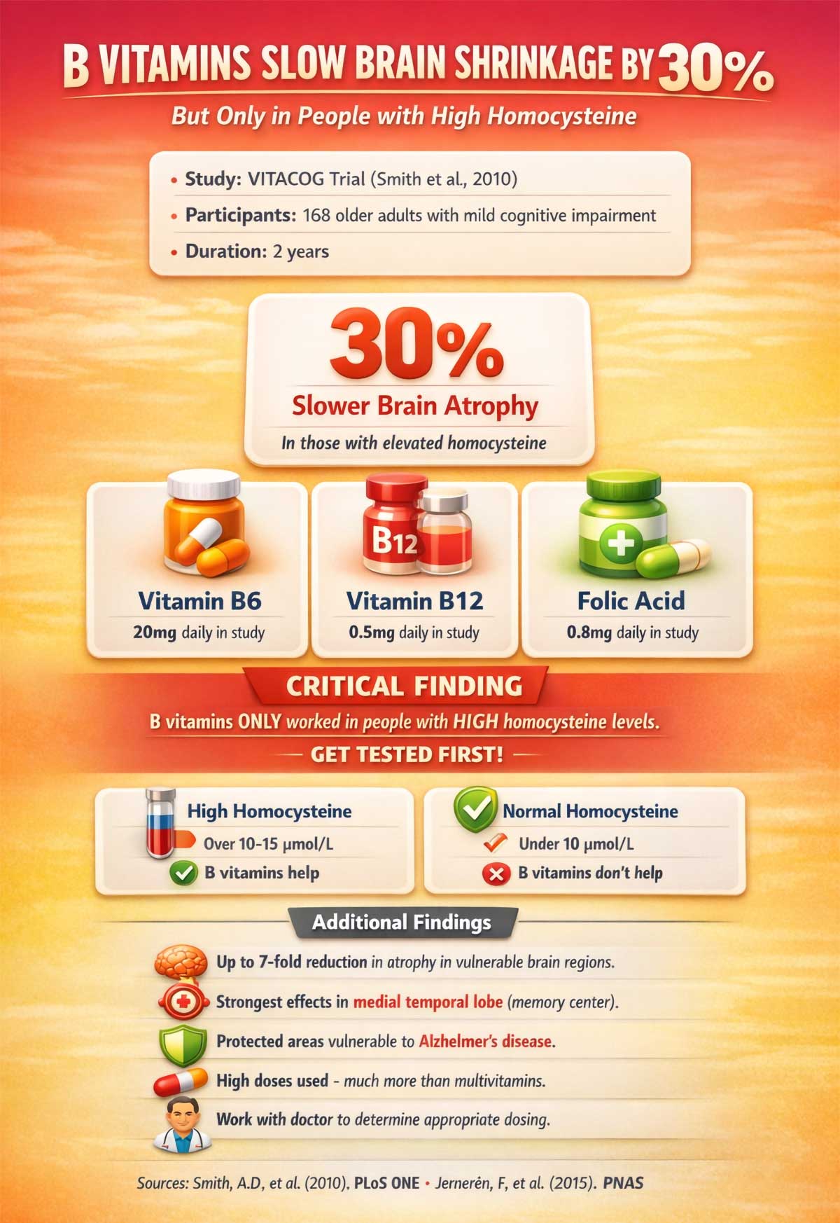 B Vitamins Slow Brain Shrinkage by % B Vitamins Slow Brain Shrinkage by %