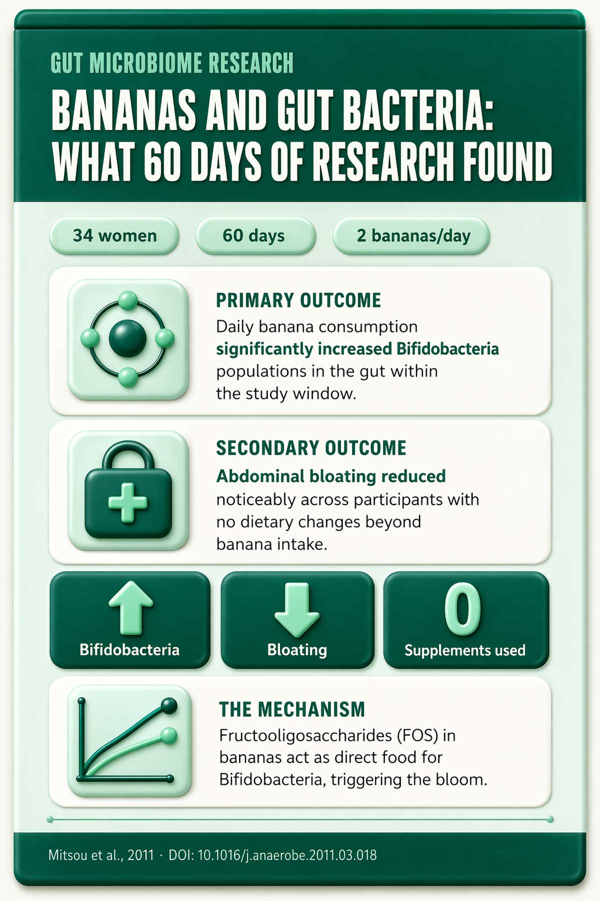 Bananas and gut bacteria