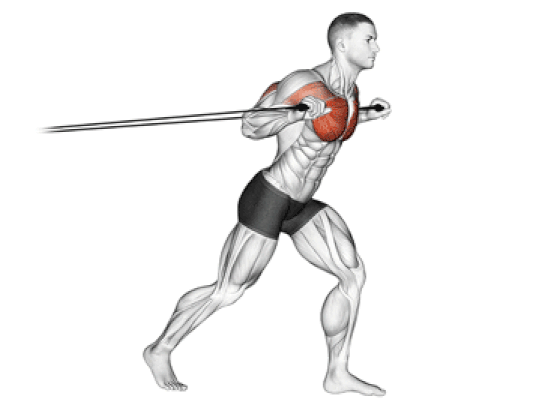Banded Standing Chest Press