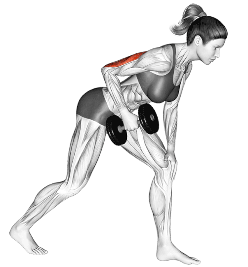 Bent Over Triceps Kickbacks