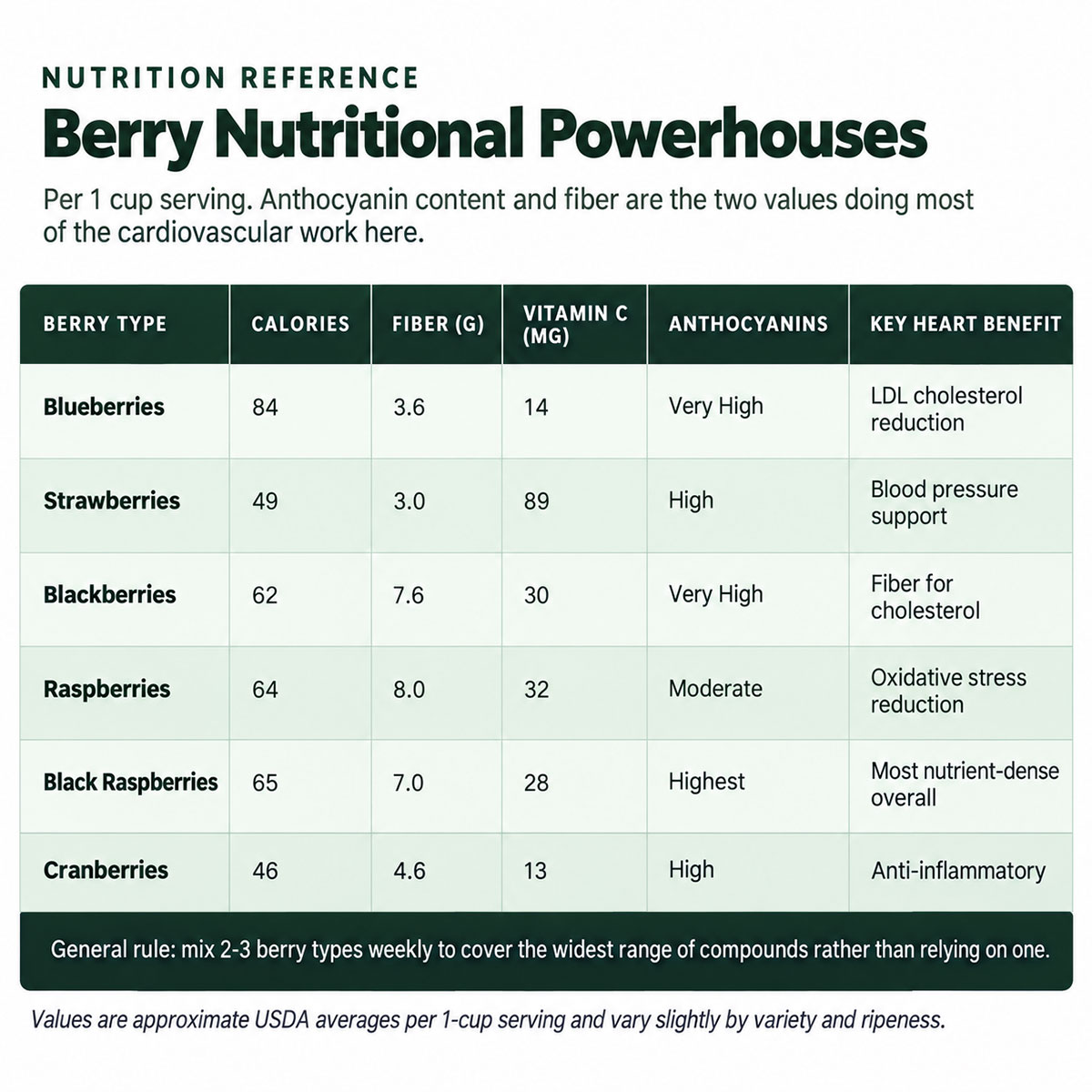 Berry Nutritional Powerhouses Berry Nutritional Powerhouses