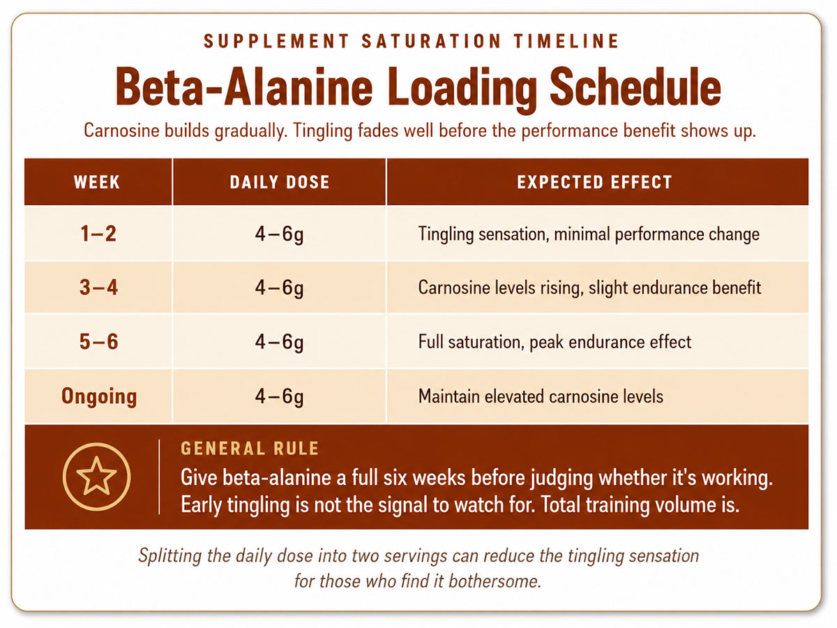 Beta Alanine Loading Schedule Beta Alanine Loading Schedule