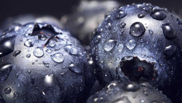 blueberries