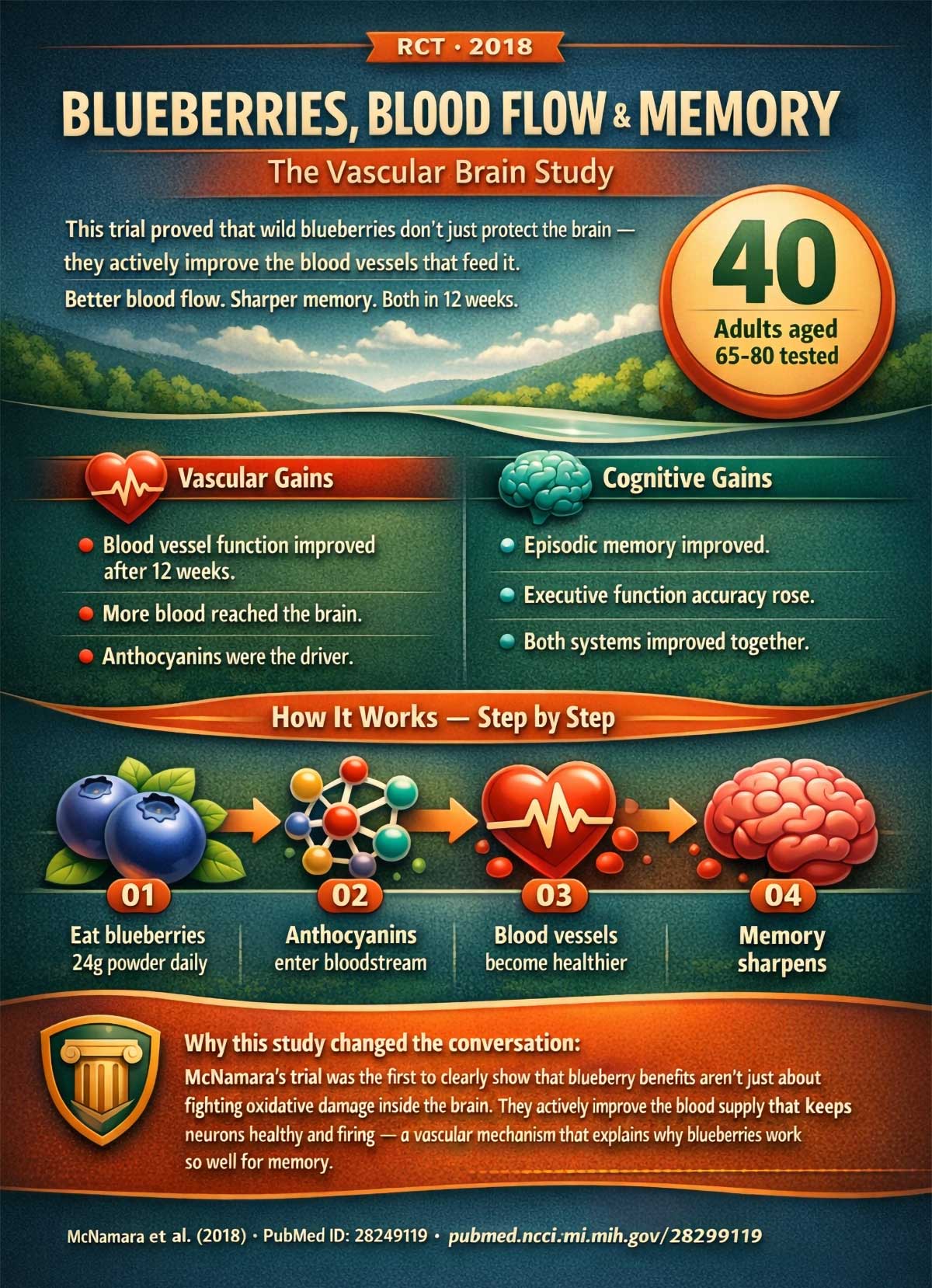 Blueberries, Blood Flow and Memory